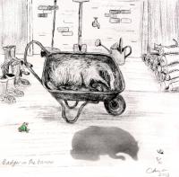 Badger in the Barrow by Chris Orr MBE RA
