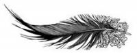 Heron Feather by Colin See-Paynton