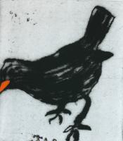 Black Bird by Richard Spare