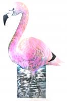 Flamingo by Sue Brown