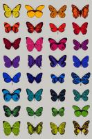 32 Butterflies by Scott Campbell