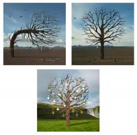 Biffy Clyro - Opposites (Triptych) by StormStudios (after Thorgerson) Storm Thorgerson