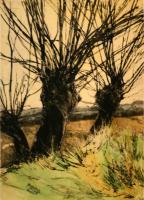 Three Willows by Mary Cossey