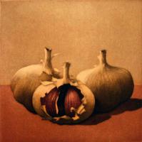 Garlic (three bulbs) by Terence Millington