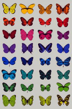 32 Butterflies