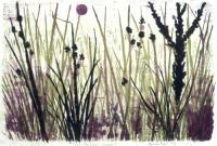 Sun Through Reeds by Brian Rice