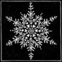 Snowflake by Colin See-Paynton