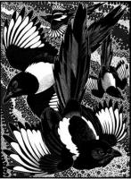 Tiding of Magpies by Colin See-Paynton