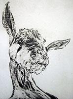 Goat Head by Chris Salmon