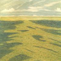 The Irish Sea Green by Niall Naessens