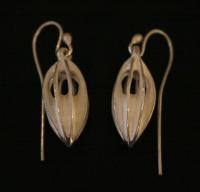 Pod Earrings
 by Steve Whitford