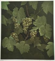White Grapes by Terence Millington